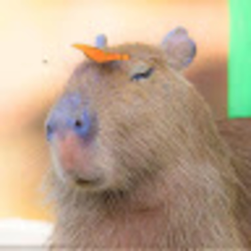 Meet your Posher, Marie